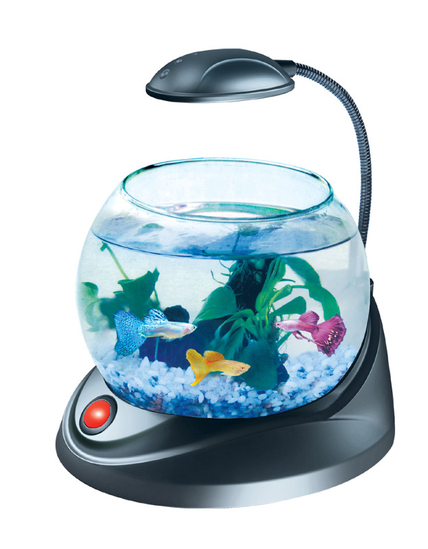 Купить недорогих аквариумных рыбок. Mini Fish аквариум. Валберис аквариум для рыбок. Круглый аквариум. Аквариум маленький круглый.