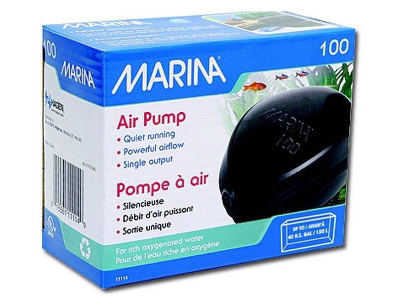 Marina air