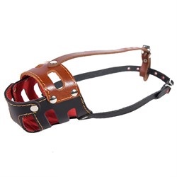 Намордник кожа Ч №2 цельнокроенный АРТ316