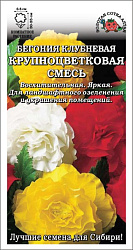 Бегония Клубневая крупнецветковая смесь (Золотая Сотка) цп