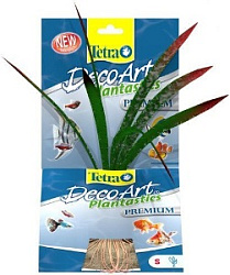 Растение аквариумное Гемиграфис