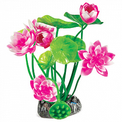 Растение аквариумное Нимфея розовая 20см Laguna 