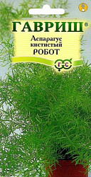 Аспарагус Робот (кистистый) 0,3 г (Гавриш)