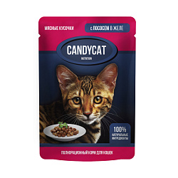 Candycat влажный корм для кошек лосось в желе 85гр  