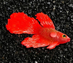 Грот Бойцовая рыбка силиконовая, с неоновым эффектом, 8*1,5*5,2см, красная