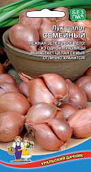 Лук Шалот Семейный (Уральский дачник)