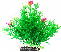 Растение аквариумное Гемиантус с розовыми цветами 12см Уют ВК303