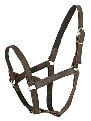 REITER Недоуздок комбинированный без повода х/б кожа