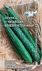 Огурец Китайский Болезнеустойчивый F1 (Седек) цп