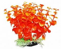 Растение аквариумное Бакопа оранжевая 12см Уют ВК308