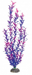 Растение аквариумное Людвигия фиолетовая 200мм, Laguna
