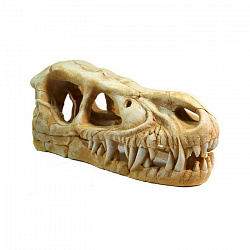 Грот DEKSI Череп динозавра 1004