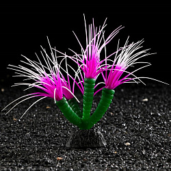 Декор для аквариума Coral Plant силиконовое светящееся в темноте 14*17см фиолетовый   710885