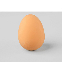 Игрушка для собак Прыгающее яйцо 897823