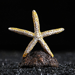 Грот Морская звезда на подставке 7,5*3,5*8см желтая 7102543