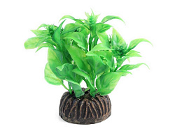 Растение аквариумное Альтернантера зеленая, 8см, Laguna