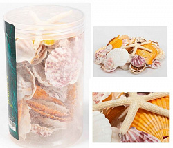 Грунт ракушки в банке 300-400гр 4-7см 015