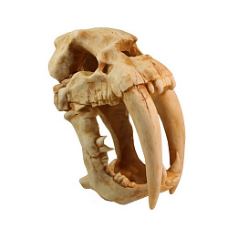 Грот DEKSI Череп динозавра 1005