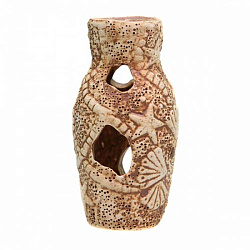 Грот Аква Лого Амфора звезда 005