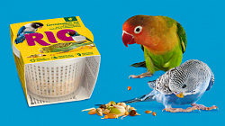 Лакомство для попугаев RIO Набор для проращивания 25г