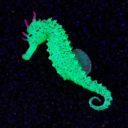 Декор для аквариума Морской конёк силиконовый с неоновым эффектом 2*4*10 см зелёный   7108875