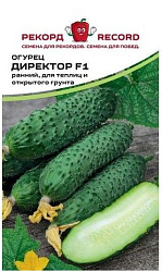 Огурец Директор F1 (Партнер)