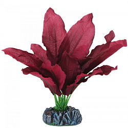 Растение аквариумное шелковое Криптокарина 7см Laguna