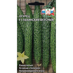Огурец Пекинский вкусный F1(Седек)