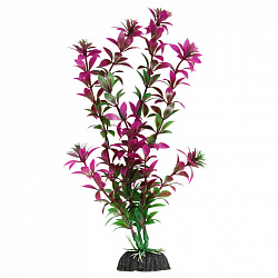 Растение аквариумное Ротала сиреневая 20см Laguna