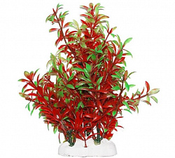 Растение аквариумное Гемиантус красно-зеленый 20-22см Уют ВК414