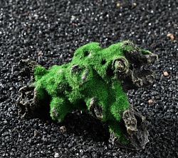 Грот для аквариума Декор под корягу 13*7*7см   