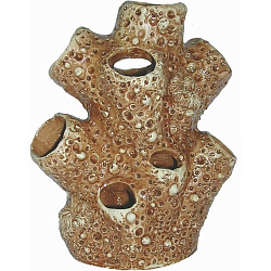 Грот Аква Лого Актиния большая 002