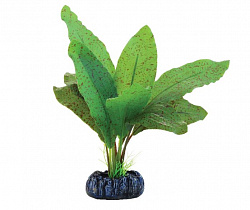 Растение аквариумное Эхинодорус крапчатый 13см 74044176