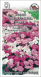 Иберис Шепот лета  (Золотая Сотка)