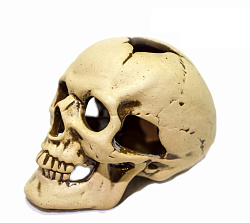 Грот Аква Лого Череп малый 5,5/9,9см