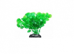 Растение аквариумное Дианея зеленая 11см Уют ВК205