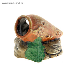 Грот К Амфора на камнях 04