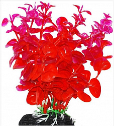 Растение аквариумное Бакопа зелено-розовая 11см Уют ВК210