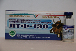 Вакцина ЛТФ-130 (трихофитии КРС сухая живая (20доз) РБ