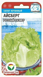 Салат кочанный Айсберг Русский размер 0,5гр (Сибирский Сад)