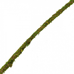Растение для террариума Лиана искусственная с мхом RV0215 15мм*2000мм 84045049