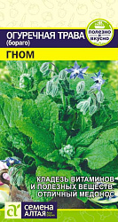 Огуречная Трава Гном (Семена Алтая) цп 0,5гр