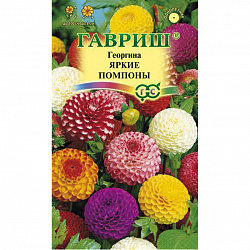 Георгина Яркие помпоны 0,2 г (Гавриш)