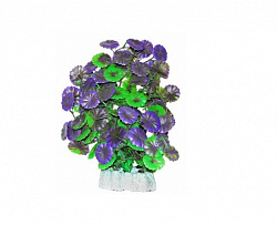 Растение аквариумное Щитолистник зелено-фиолетовый 24 см УЮТ ВК506