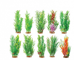 Растение аквариумное Камкрым композиция 40см 077