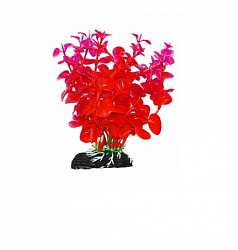 Растение аквариумное Бакопа оранжево-фиолетовая 11см Уют ВК212