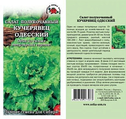 Салат Кучерявец одесский (Золотая Сотка)