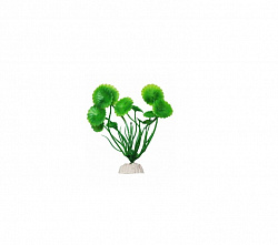 Растение аквариумное Щитолистник зеленый 10см Уют ВК100