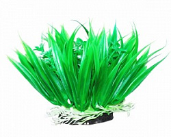 Растение аквариумное Осока 12см Уют 