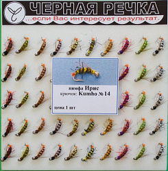 Нимфа ЧР Ирис кр Kumho №14 (583714) 